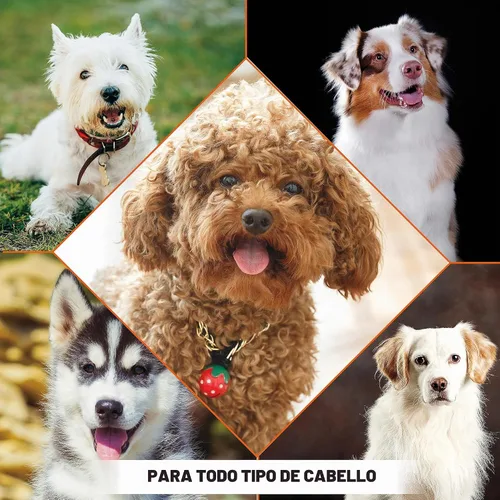 Vista 9 de Wahl USA - Champú repelente de pulgas y garrapatas para perros, romero