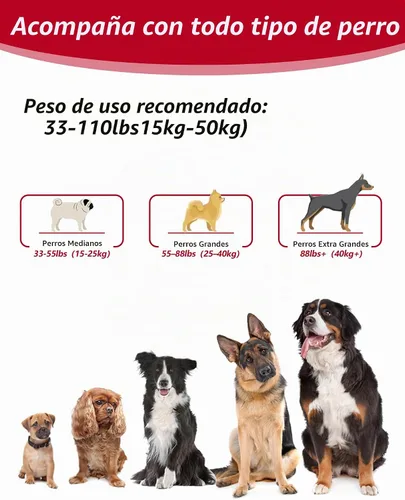 Vista 6 de Correa de perro manos libres, correa cruzada multifuncional para Negro