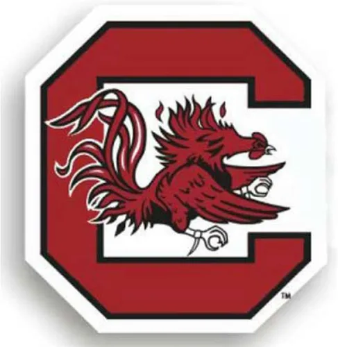 Vista 5 de Fremont Die Imán de vinilo con logotipo del equipo de la NCAA Fan