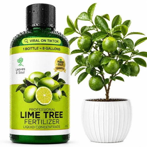 Vista 12 de Leaves & Soul Evergreen Tree Fertilizer, 6-4-6 Liquid Evergreen Food 8 oz Árbol de hoja perenne