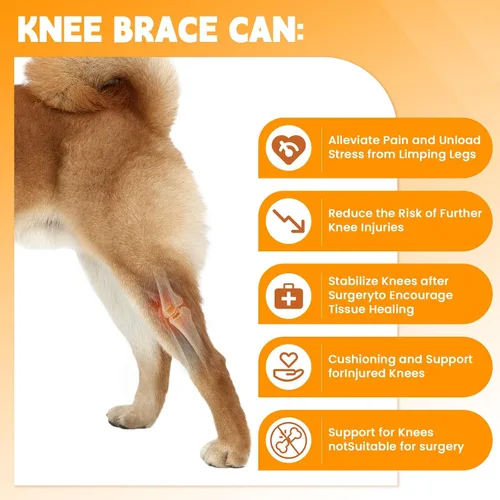 Vista 2 de Dog Knee Brace for Hind Leg – Adjustable Rear Leg Support with 2 PP Resin Bars, Helps Torn ACL, Ligament Injuries, Luxating Patella & Hip Dysplasia