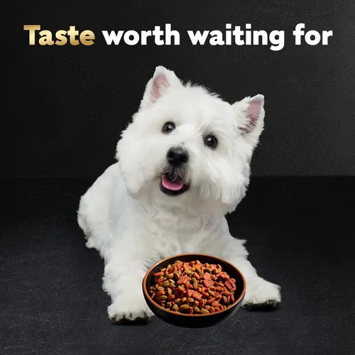 Vista 8 de Comida para perros de raza pequeña seca Cesar, Pollo Made in USA, Real chicken #1 ingredient, 26 essential nutrients, supports small breed health