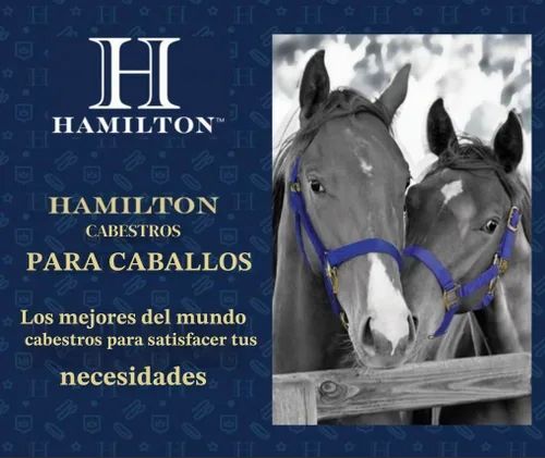 Vista 5 de Hamilton Caballo ajustable de lujo, 100-200 libras, negro