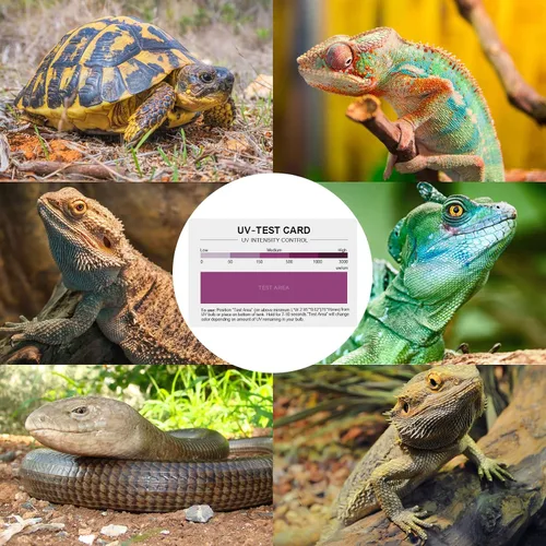 Vista 2 de LIKZINWA Tarjeta de sensor UVB, paquete de 2 tarjetas de prueba de lámpara de reptil, sensor UV, lámpara fluorescente UVB para reptiles