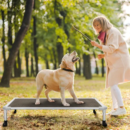 Vista 31 de Veehoo Cama elevada para perros a prueba de mordidas - Cuna elevada refrescante para mascotas - Marco de aluminio plateado y tela de malla