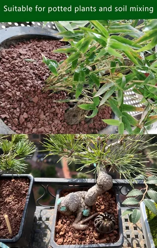 Vista 4 de Voulosimi Tierra de Arcilla Calcinada Hortícola para Bonsái, Cactus y Suculentas (Tierra Más Grande, 4.5KG), HTKL-D-1