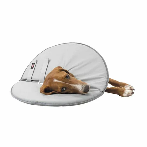 Vista 13 de Collar Isabelino para Perros Trixie 19423 Gris Espuma