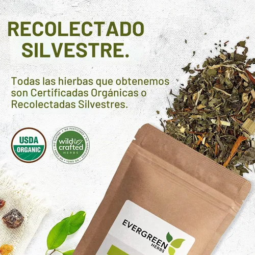 Vista 3 de Evergreen Herbs Prodigiosa (cápsulas) - Sello a prueba de manipulaciones para garantizar la frescura.