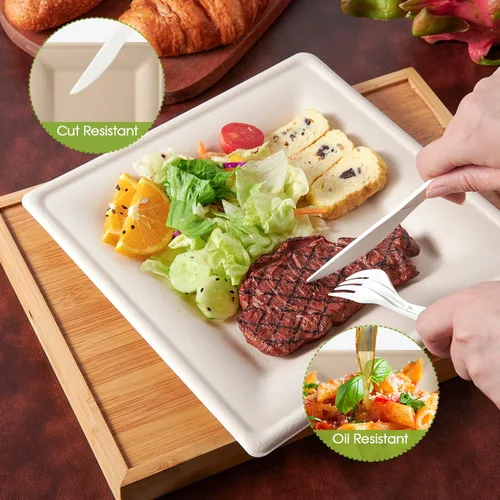 Vista 3 de ECOLipak Paquete de 100 platos cuadrados compostables, platos de papel desechables de 10 pulgadas hechos de caña de azúcar, ecológicos, resistentes