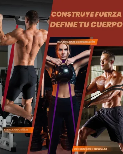 Vista 2 de Fitense Resistance Bands Set - Pull Up Bands for Men Women, Exercise Bands Resistance with Door Anchor, Training Poster & Pouch for Body Stretching