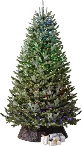 Vista 11 de Balsam Hill BH Fraser Fir - Full Christmas Tree with Most Realistic True Needle Foliage, Easy Plug Technology & Multiple Height and Lighting