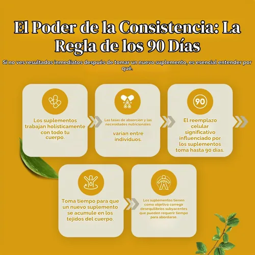 Vista 6 de Natures Craft Cápsulas de forma libre de L-lisina, suplemento de L-lisina de alta resistencia para la salud ocular, cuidado de los labios, síntesis