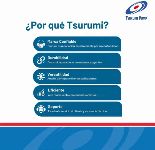 Vista 5 de Tsurumi Pump Bomba de deshidratación sumergible LB-480A - Interruptor de relé automático 2/3 HP 115V 2 pulgadas de descarga Para aplicaciones