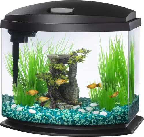 Vista 12 de Aqueon Kit de Acuario Pequeño LED MiniBow con Tecnología SmartClean, Azul, 1 Galón