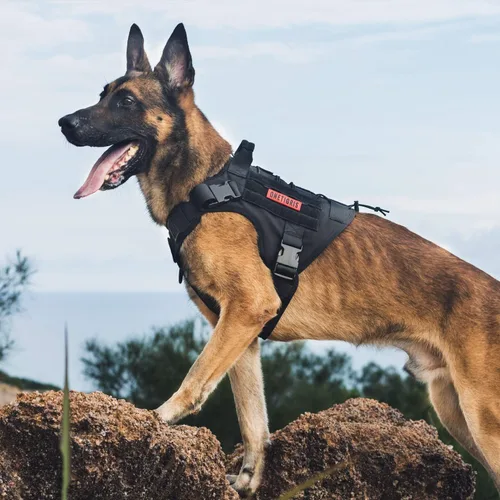 Vista 8 de OneTigris Arnés Chaleco Táctico para Perros, Chaleco de Servicio Sin Tirones para Perros con Paneles de Velcro, Arnés Chaleco Ajustable para Perros