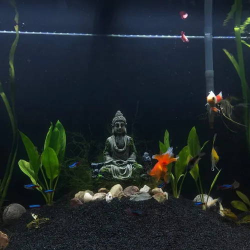 Vista 2 de SLOCME Decoración de estatua de Buda para acuario, decoración de acuario, estatua de Buda para pecera
