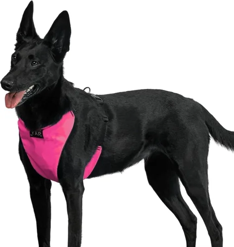Vista 10 de YAP Techno® - Arnés para perro sin tirones, ajustable en 4 direcciones, arnés de chaleco para perro con control de temperatura, arnés para perro sin