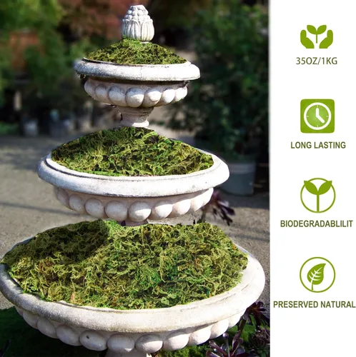 Vista 3 de Musgo de 35 onzas para plantas en maceta, musgo falso para plantas falsas, musgo artificial para manualidades, musgo artificial para plantas falsas