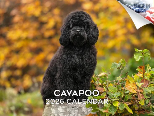 Vista 29 de Calendario de Lebrel Afgano 2025 2026, calendario mensual de pared de raza canina, 12" x 18" abierto, papel grueso sin traspaso, ideal para regalo