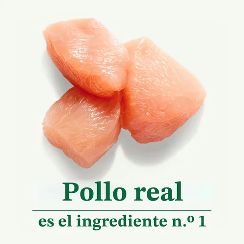 Vista 4 de Nutro Wholesome Essentials - Alimento seco para gatos adultos, pollo y arroz, 5 libras Real chicken #1 ingredient, natural prebiotic fiber for