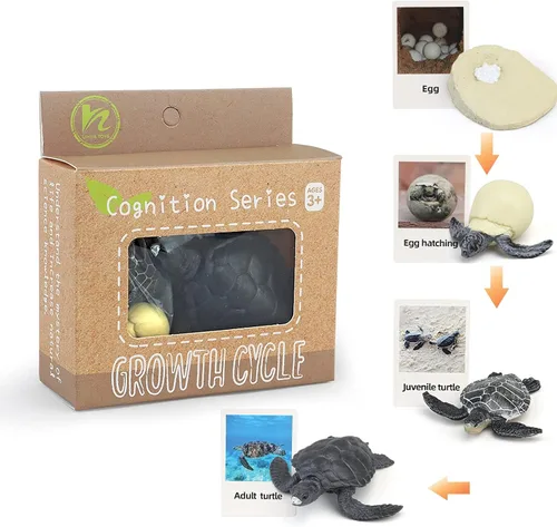 Vista 8 de Figuras del Ciclo de Vida de Animales Montessori con Tarjetas Flash, Juguetes de Figuritas de Animales Realistas, Juego Educativo de Emparejamiento