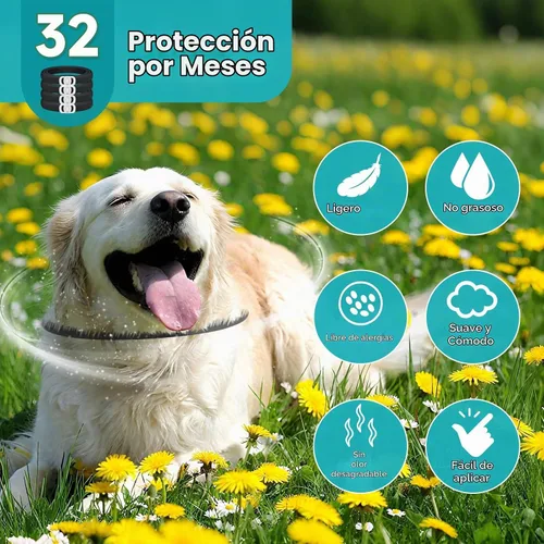 Vista 3 de Prevención de pulgas y garrapatas para perros, paquete de 4 collares