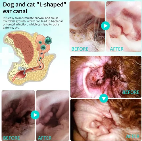 Vista 7 de Limpiador de ácaros para perros y gatos – Tratamiento de ácaros de orejas de gato con aloe vera, limpiador al contacto y alivia la picazón, fórmula