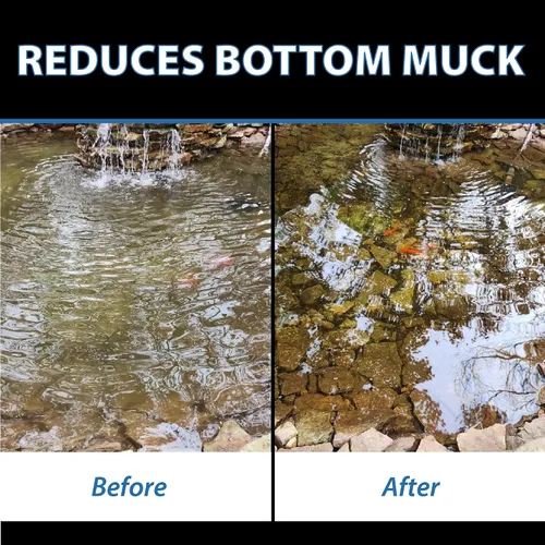 Vista 5 de CrystalClear MuckOff, Tratamiento Natural de Lodo para Estanques, Limpiador de Lodo para Jardines Acuáticos, Fuentes y Baños para Aves, Clarificante