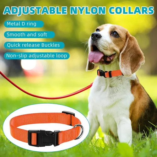 Vista 5 de Buryeah 12 collares de perro a granel para cachorros, de nailon ajustable para perros pequeños y medianos con hebilla de seguridad para perros