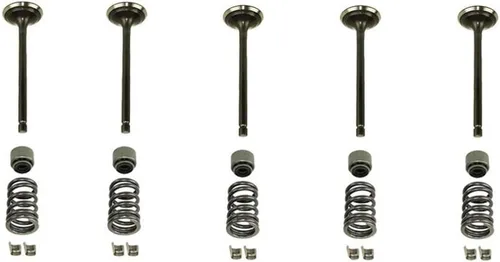 Vista 3 de Kit de válvula de escape de admisión de cilindro para Yamaha Raptor 660R YFM660R 4X4 2001 2002 2003 2004 2005