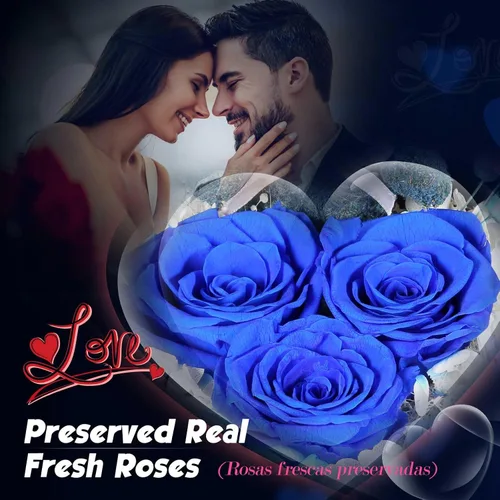 Vista 3 de AddWel Regalos de rosas para mujer, rosas azules reales preservadas con collar I Love You en 100 idiomas y lindo oso de musgo para novia, esposa