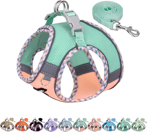 Vista 10 de AIITLE Arnés para Perros Pequeños - Chaleco Ligero de Malla Step-in para Cachorros, Diseño Reflectante y a Prueba de Escape con Cinta Mágica de Alta