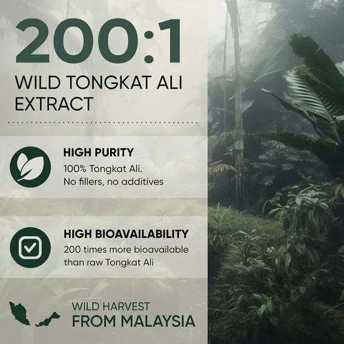 Vista 4 de Jungle Powders Tongkat Ali para hombres Extracto 200:1 282 porciones, polvo de hormigas negras 30:1, 94 porciones 5 onzas de suplemento de raíz