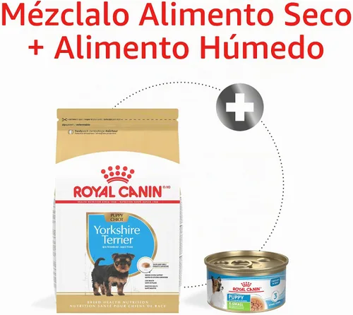 Vista 6 de ROYAL CANIN Yorkshire Terrier - Alimento seco para cachorros, bolsa de 2.5