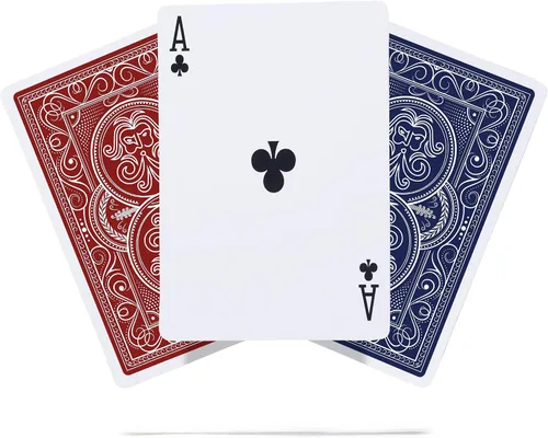 Vista 8 de Baraja pesada de cartas ideal para exteriores Naipes impermeables resistentes al viento Cartas de póquer protegidas de plástico grueso