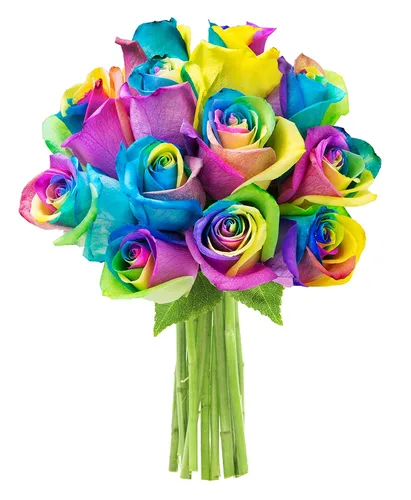 Vista 41 de KaBloom - Rosas arcoíris (media docena)- Flores frescas para cumpleaños, San Valentín y Día de la Madre