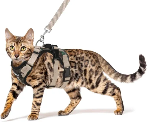 Vista 7 de PUPTECK Juego de arnés y correa para gato a prueba de escape para caminar, chaleco de malla transpirable arnés ajustable para gatos cachorros Negro