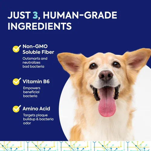 Vista 4 de TEEF FOR LIFE Protektin42K Kit de polvo dental prebiótico para gatos