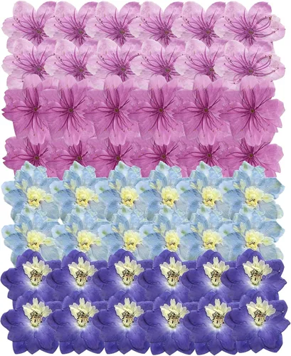 Vista 9 de 48 piezas de flores secas prensadas para manualidades, resina, bricolaje, flores naturales secas y epoxi, flores reales con hojas, plantas