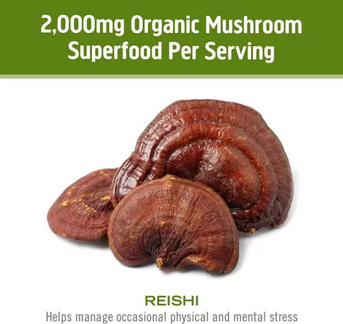 Vista 7 de Om Mushroom Superfood Reishi - Suplemento superalimenticio de cápsulas de hongos, 90 unidades, 30 días, adapttógeno, apoyo al estrés y al sistema