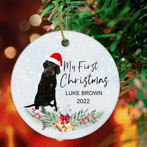 Vista 19 de 1st First Christmas Pet Ornament 2022 Dog Christmas Bauble Custom Ornament Dog Lover Gifts Personalised Dog Name Ornament English Cocker Spaniel Gift