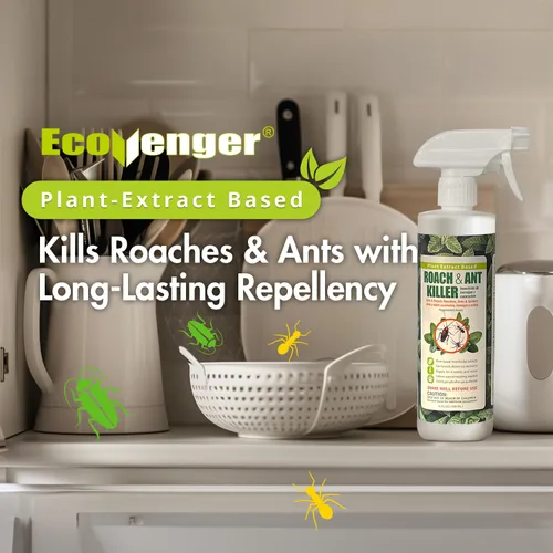 Vista 2 de EcoVenger Paquete de asesino de cucarachas, hormigas y insectos rastreros, mata al contacto en minutos, disuasión extendida de 4 semanas, mata