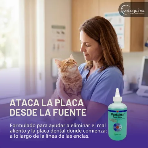 Vista 3 de Vetoquinol Dentahex - Enjuague de higiene bucal para mascotas, 8 onzas