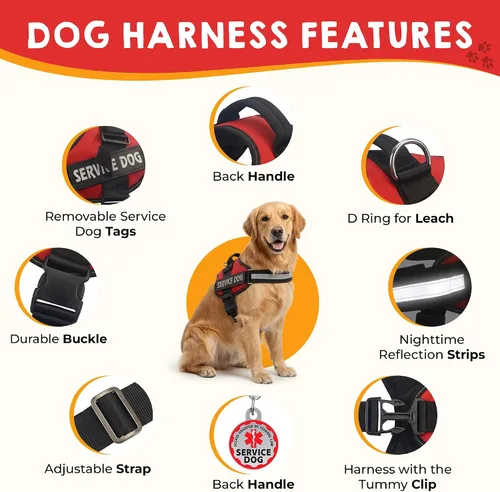 Vista 4 de Chaleco para perro de servicio + etiqueta de identificación, 50 tarjetas de información ADA, arnés con parche en tamaños X S a XXL, metal con clip