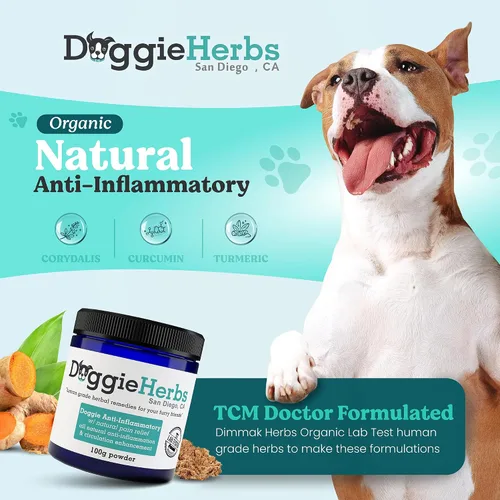 Vista 2 de Apoyo antiinflamatorio natural – Mezcla de corydalis, curcumina y cúrcuma de grado clínico – Polvo formulado por médicos TCM para rigidez, dolores