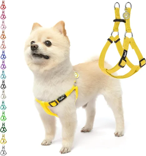 Vista 45 de Pupteck - Arnés para perros sin jalar, suave, ajustable, de nailon, talla básica, chaleco para cachorro, para caminar al aire libre con etiqueta