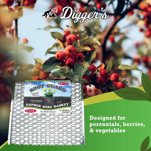 Vista 3 de Digger's - Cesta de alambre resistente de 1 galón, cesta de alambre Gopher para plantas perennes y verduras (12 cestas)