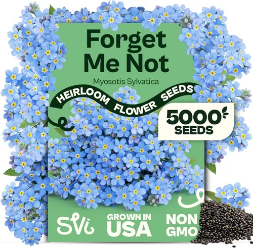 Vista 23 de Queen Anne 's Lace- 200 semillas – 50% de descuento venta
