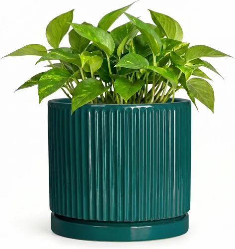 Vista 9 de 8 Inch Flower Pot, Ceramic Planters, Round Plant Pot, Beige