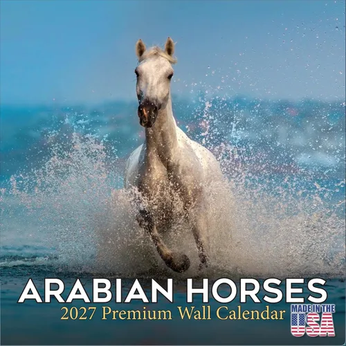 Vista 555 de Calendario de grises africanos 2025 2026 – Planificador mensual de pared de aves africanas – 12 x 18 pulgadas (abierto), calendario de pared